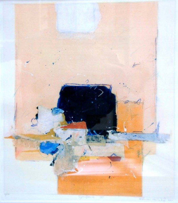 Ron-van-der-Werf-0563-symfonie-I